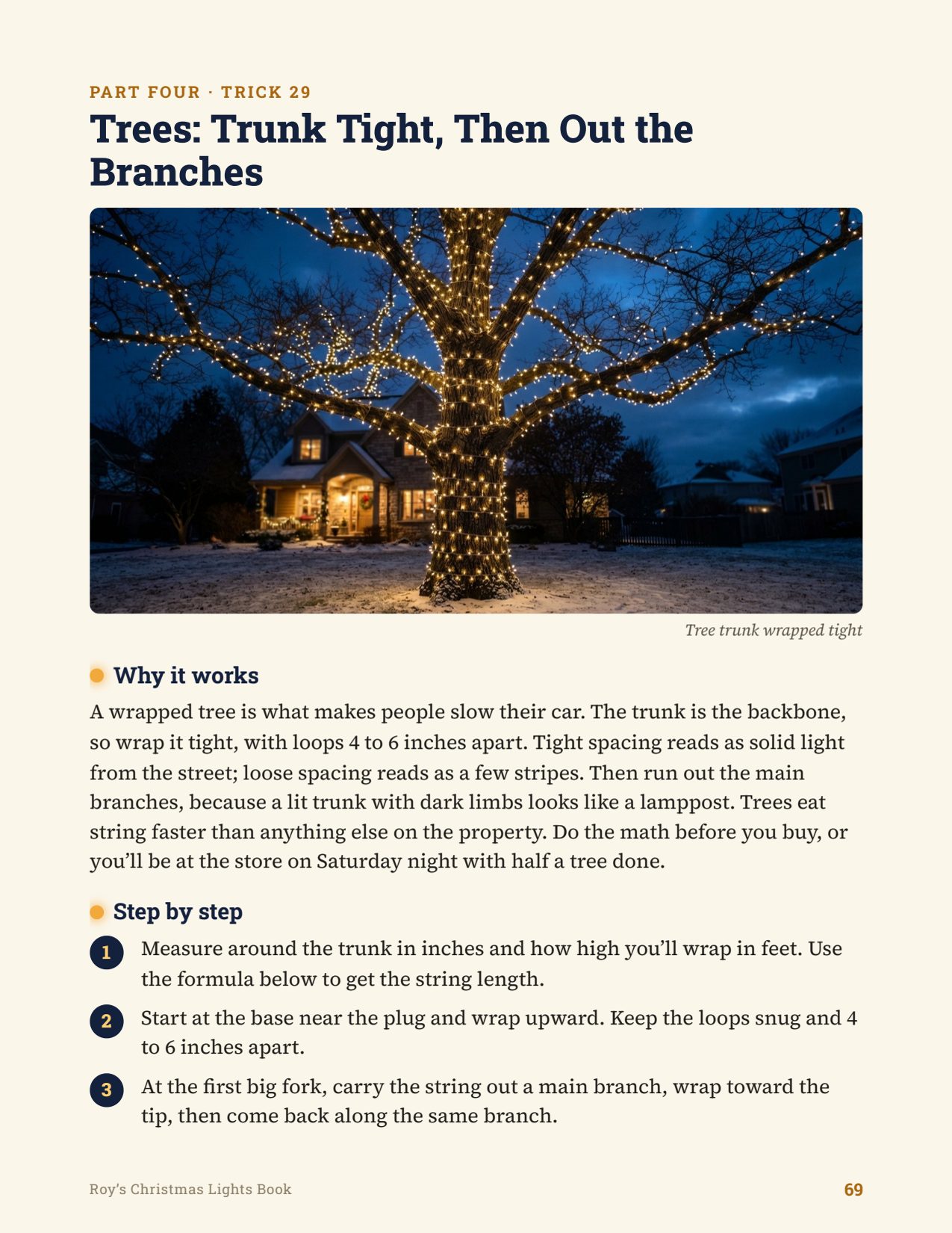 Sample page 4 from Roy's Christmas Lights Book